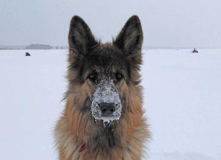 1.1.2010