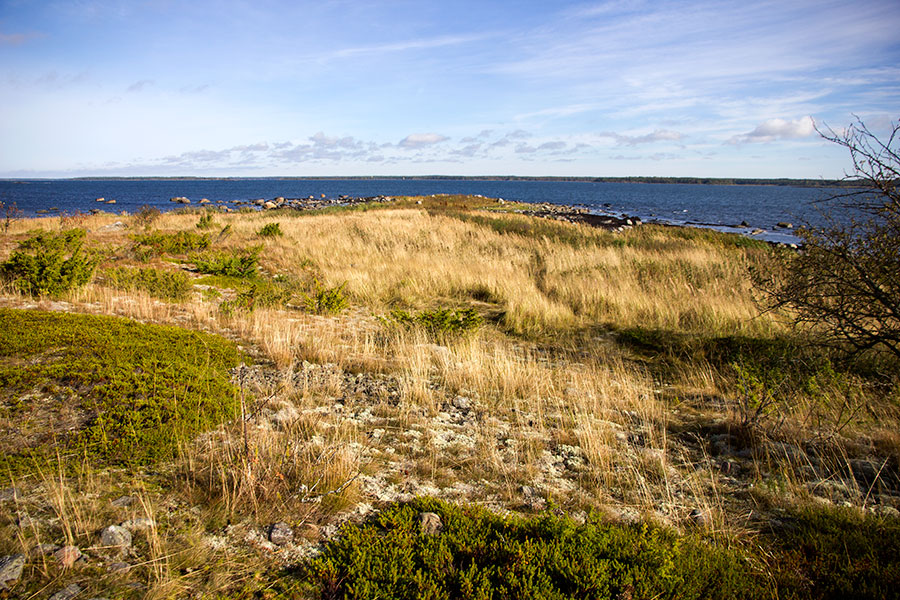 Pohjoisk�rki