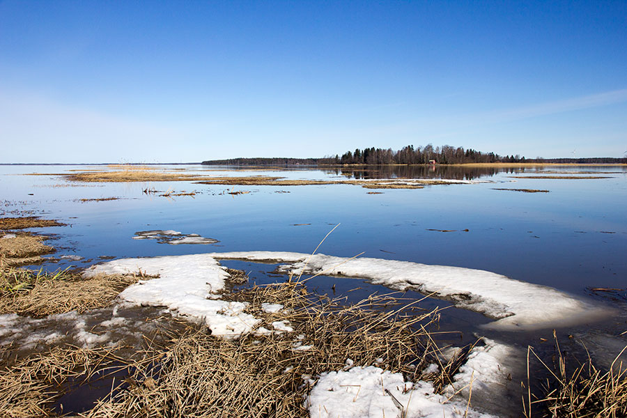 Puussa W, Isojuovan ja Pihlavanlahden yhtym�kohta