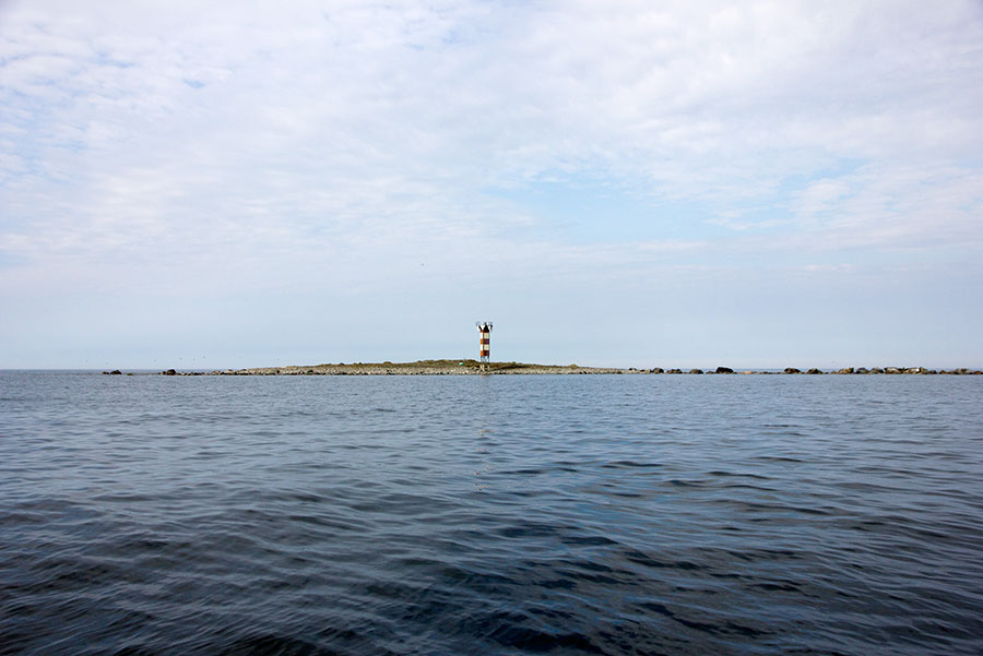 Kasapoda