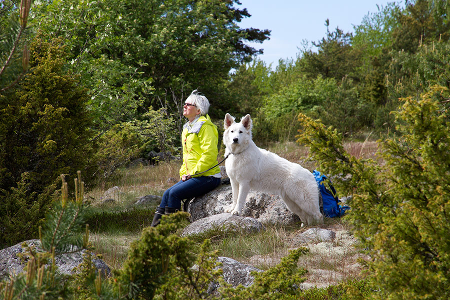 Liisa ja Pinkki