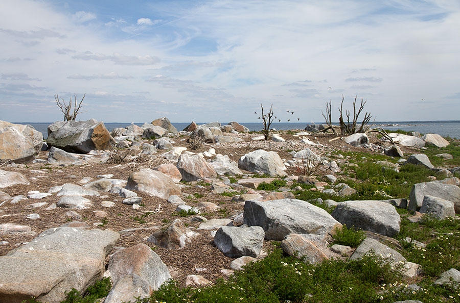M-saari, tyhj�