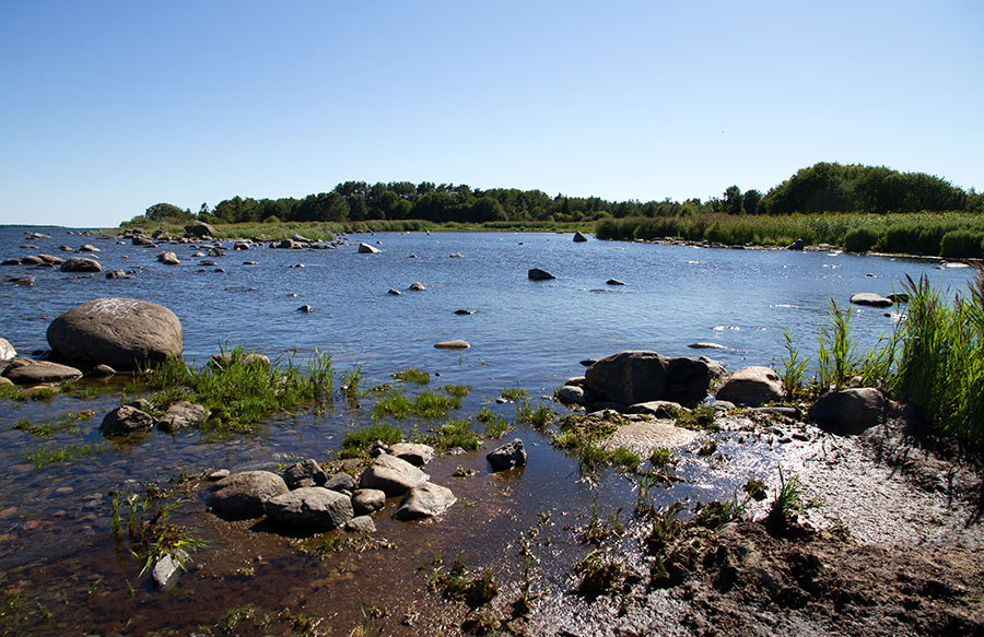 Domarkobbanin flada
