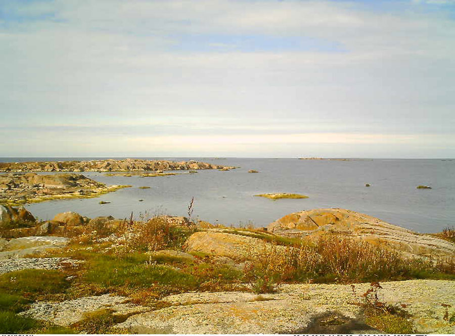 Uuden paikan kamerakuyva