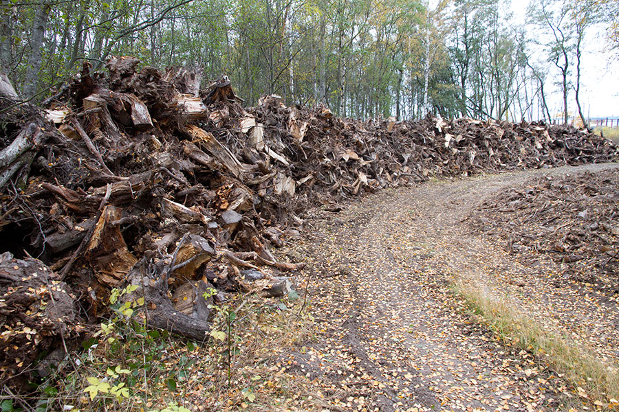 Kirrinsannan kantokasat