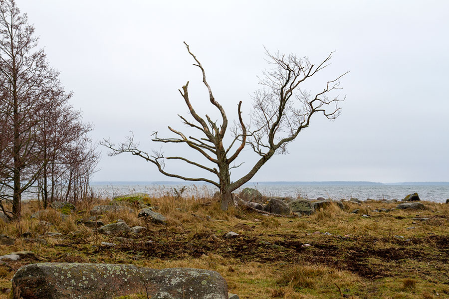 Etel�karin lepp�