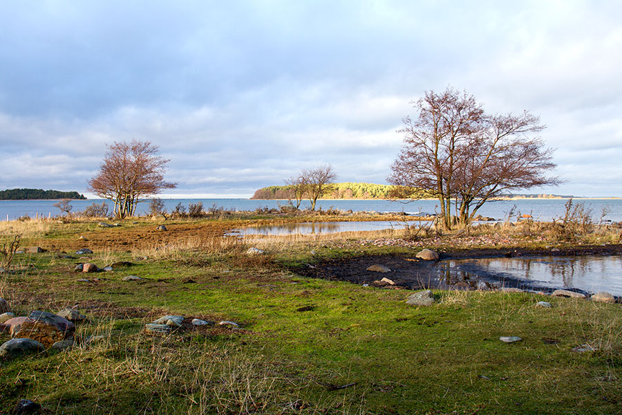 K�rki, Hevoskari