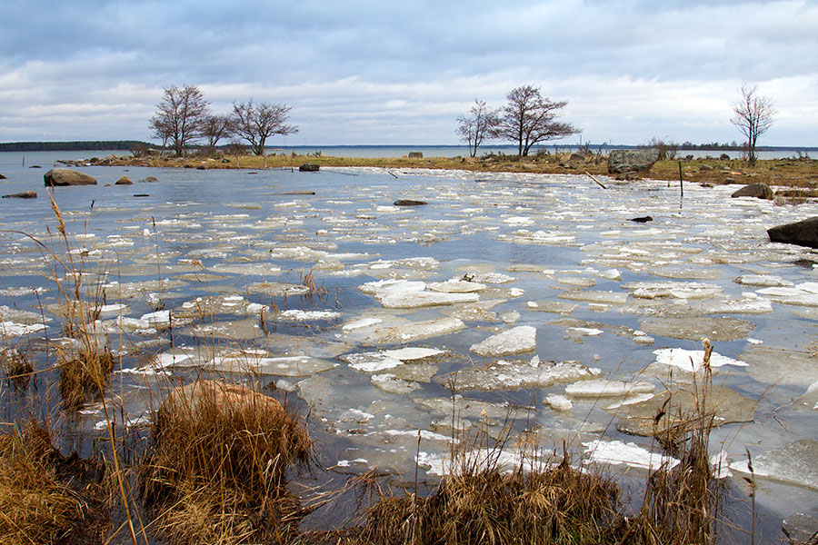 J��lauttoja, Hevoskari