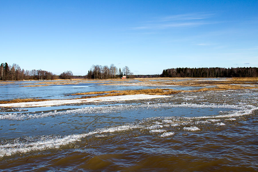 Pihlavanlahden suulla