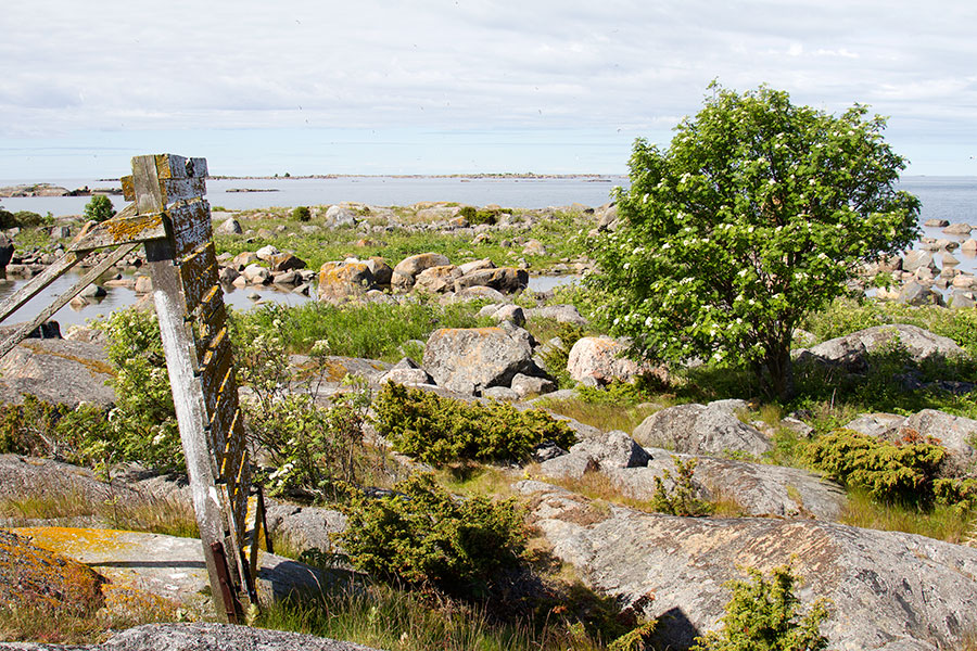 Aalkloppa, l�nsip��