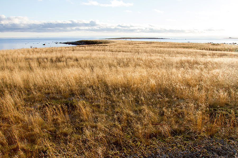 Norrberget etel��n