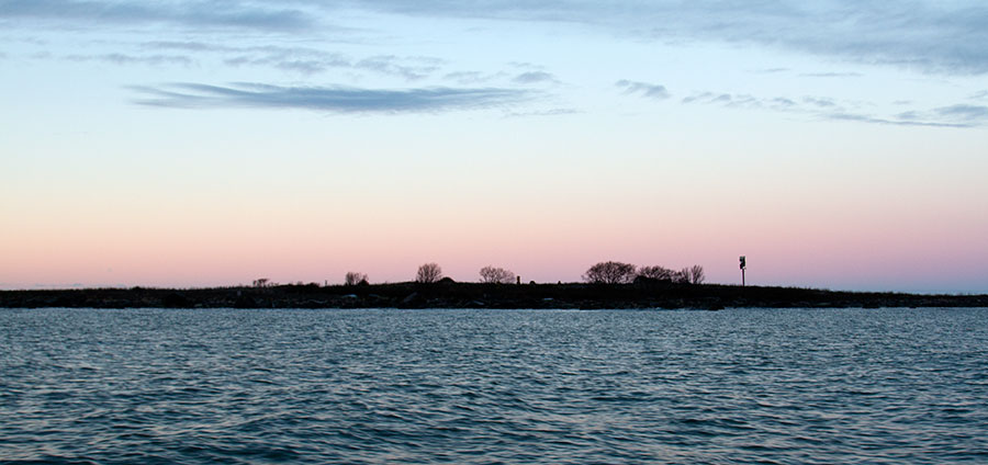 Hylkiriutta