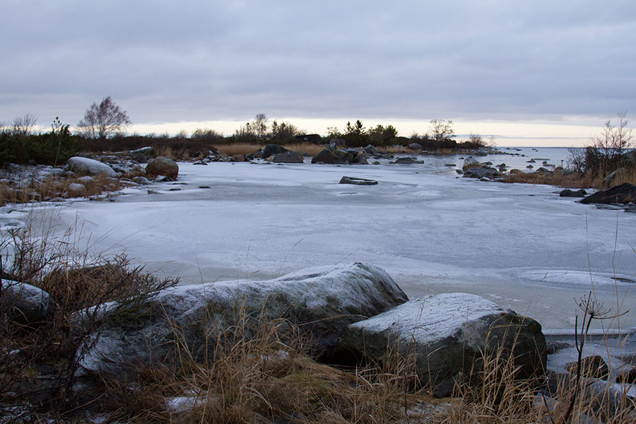 Steenkumppoosi, flada