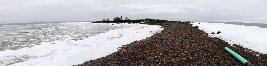 Hylkiriutta