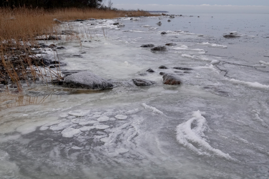 Pohjoisranta l�nteen