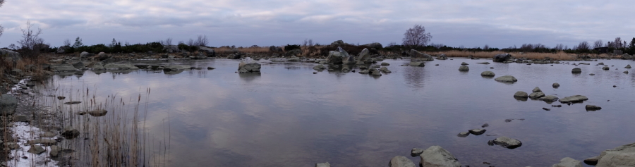 Steenkumppoosi,
                                                          flada