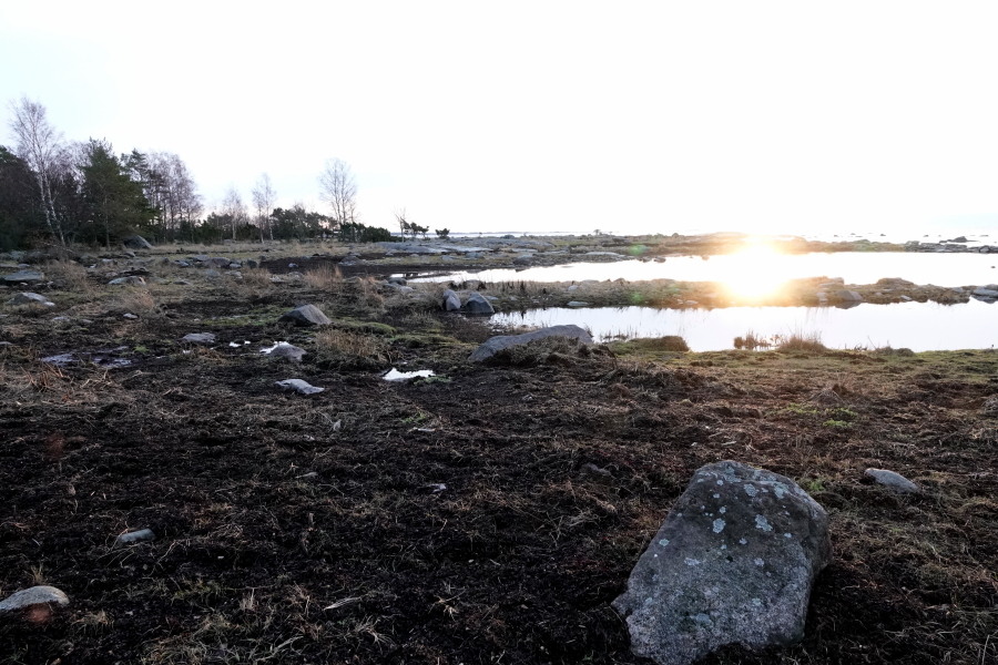 Lohiloukko ja joulukuun
                    aurinko