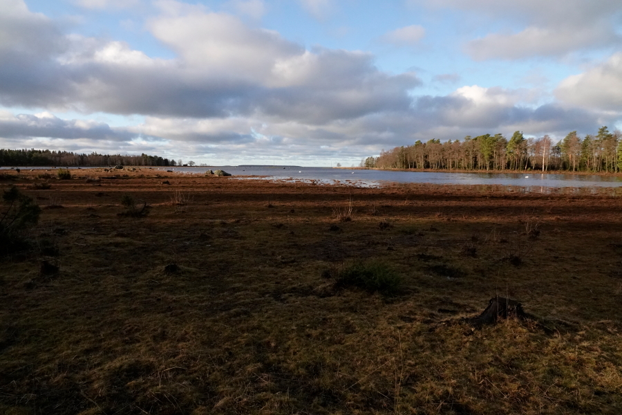 Uutpakanlahti