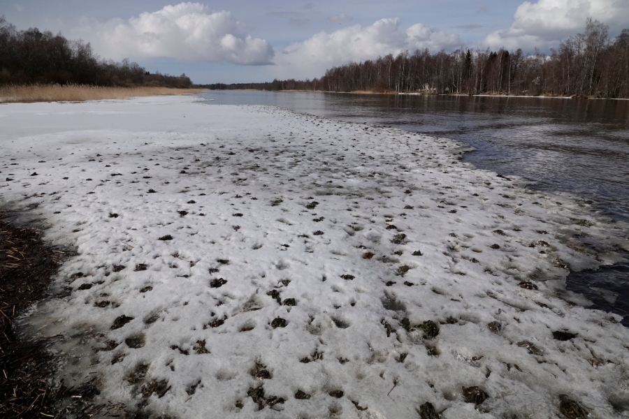 Y�vytty on - vesilintujen ulosteita
