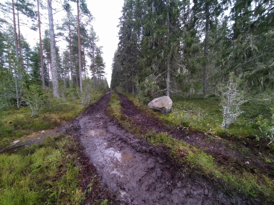 Kivi ja polku j�lkeen