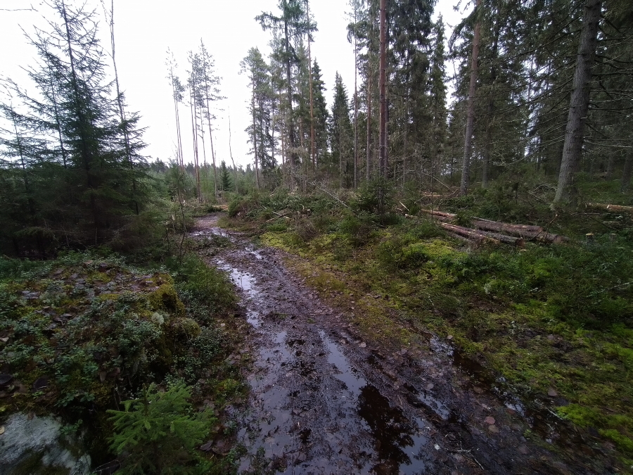 Polku j�lkeen