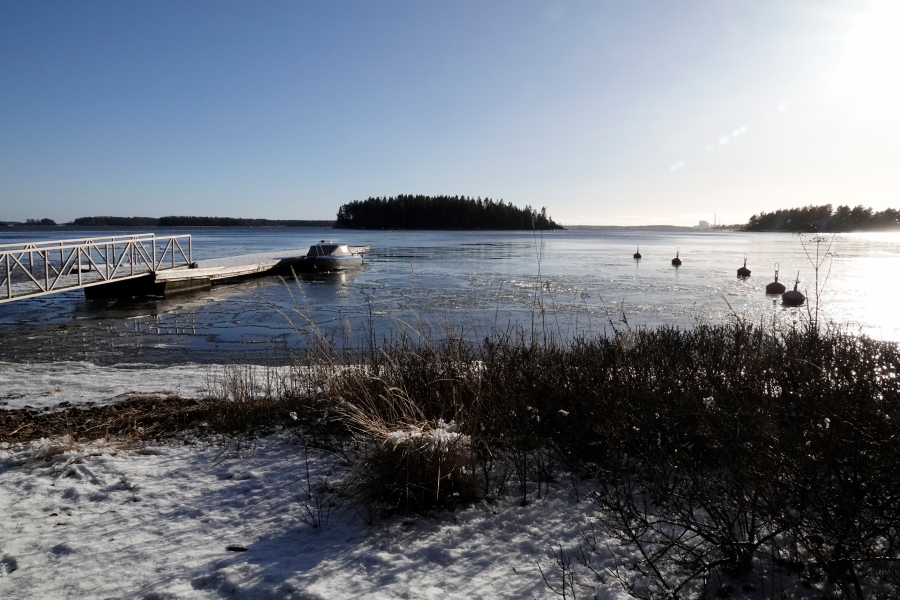 Seliskerin vierasvenelaituri