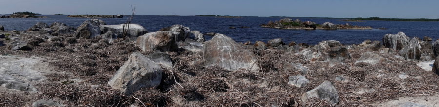 Tyhjät pesät saari S panoraama