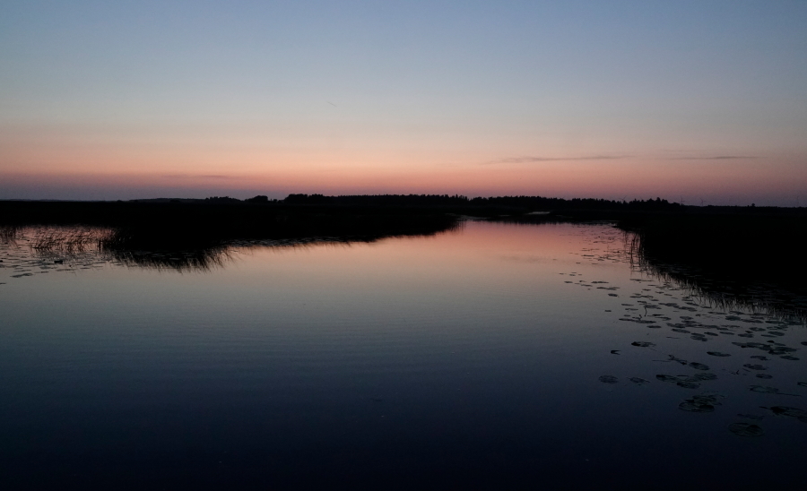 Pläkä ja auringon kajo
