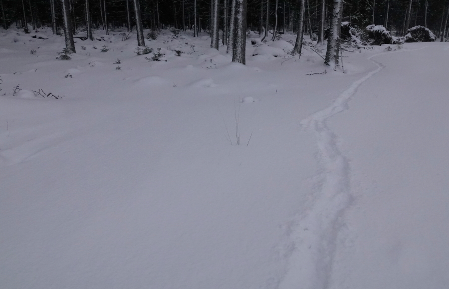 Jotos veräjällä