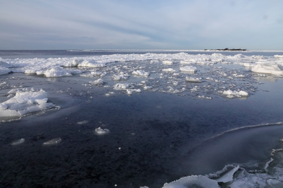 Steenkumppoosin luoteisranta