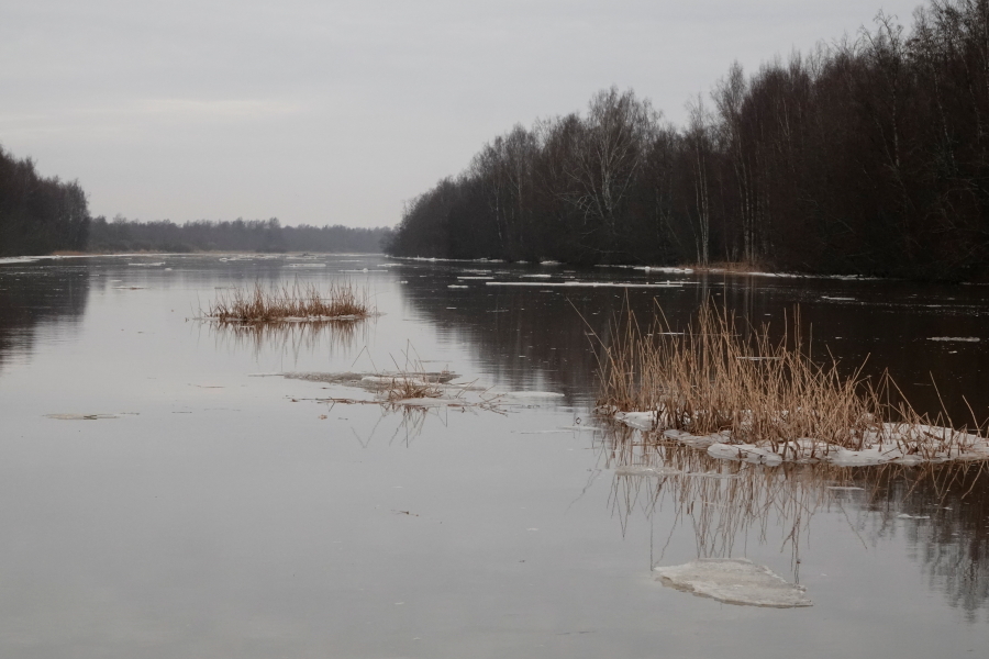 Isojuopa, jää- ja ruovikkolauttoja