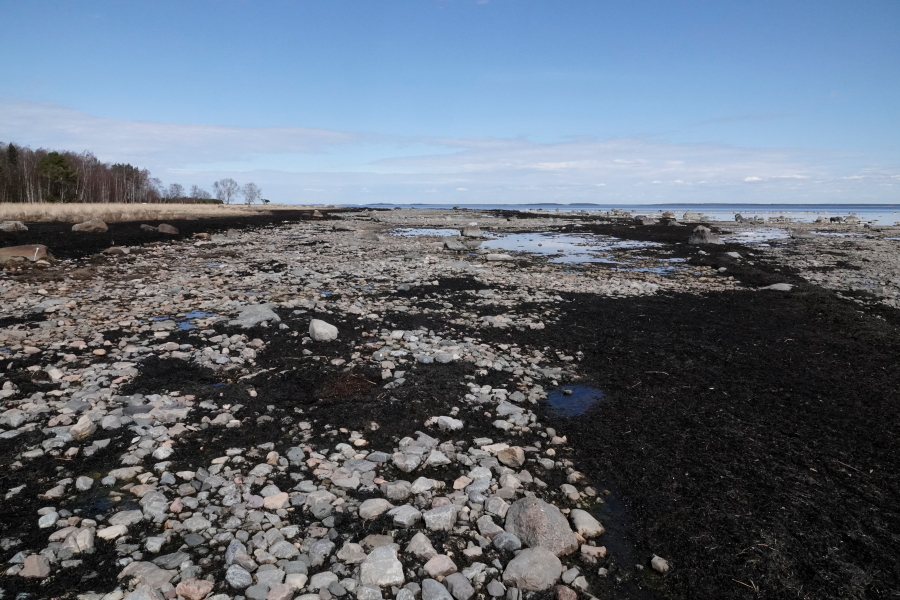 Hanhiston ranta