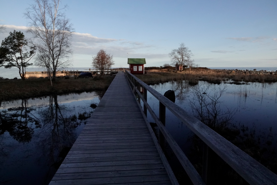Sataman lankonki auringonnousun aikaan