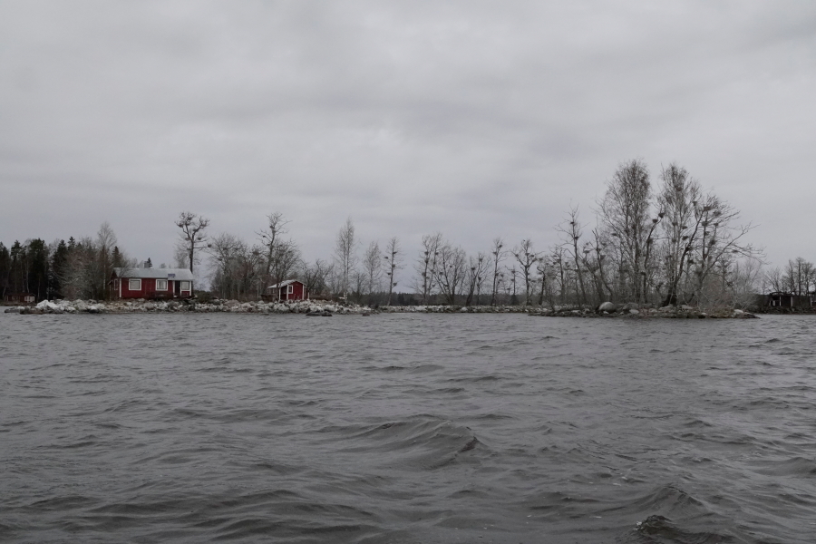 Riutta ja häirityt pesät