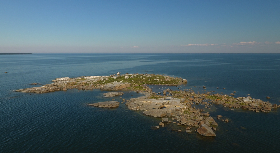 Marjakari