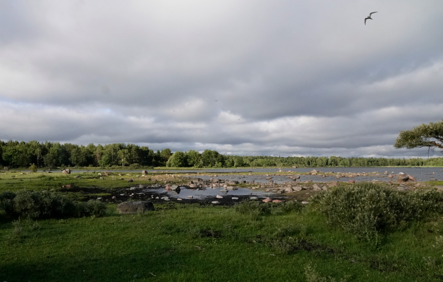 Eteläfladan kärki