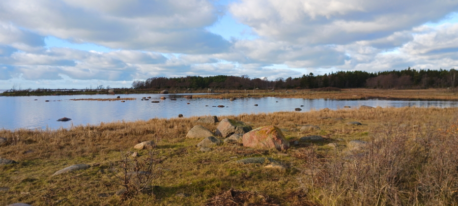 Hevoskari
