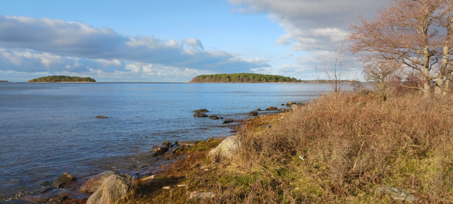 Hevoskari, Puskuri ja Trutholma