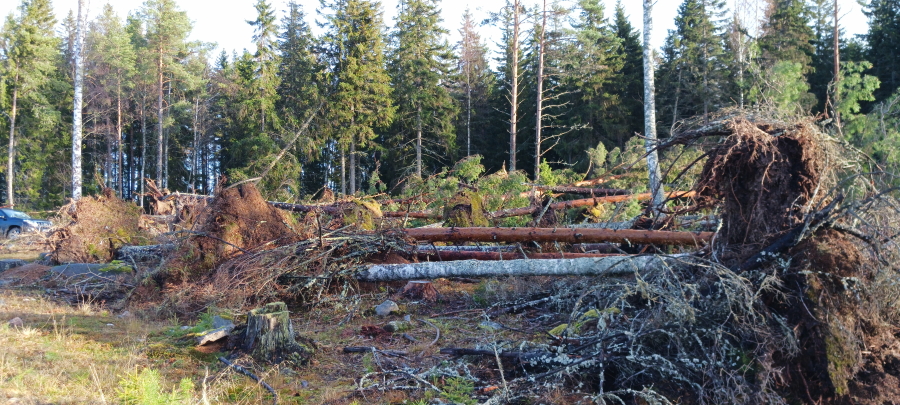 Parkkipaikka, eteläpuoli