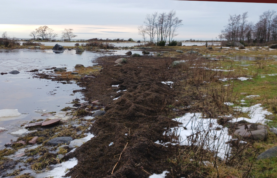 Eteläranta