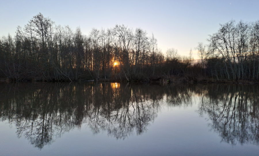 Rantakulman leppiä