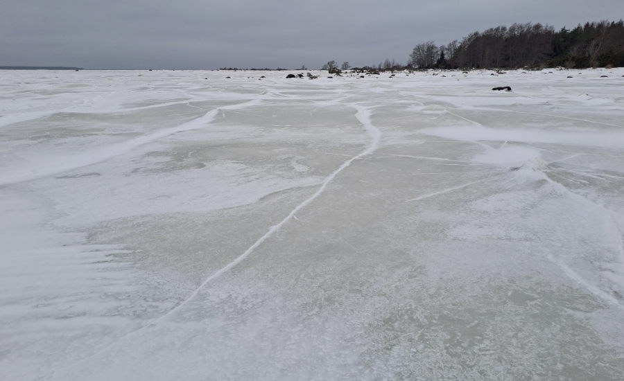 Etelänpuolinen ranta