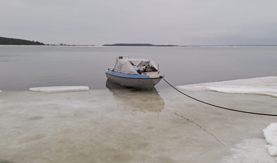 Buster vedessä jäänreunassa