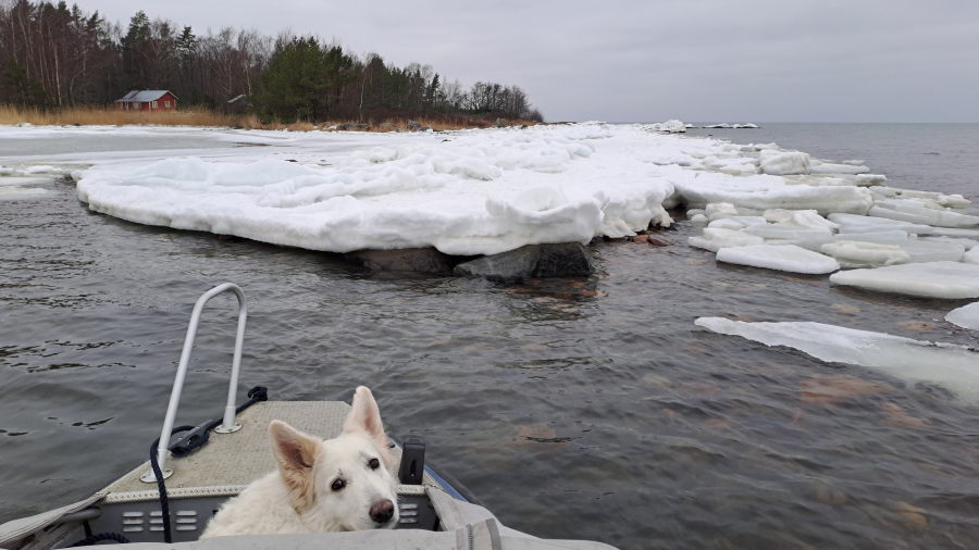 Pinkki keulassa ja Karinokan
          jäät
