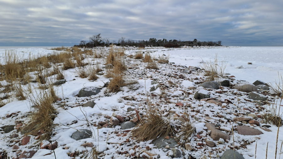 Trutholman itäsärkkä
