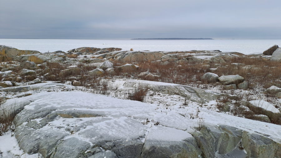 Marjakarista Säppiin