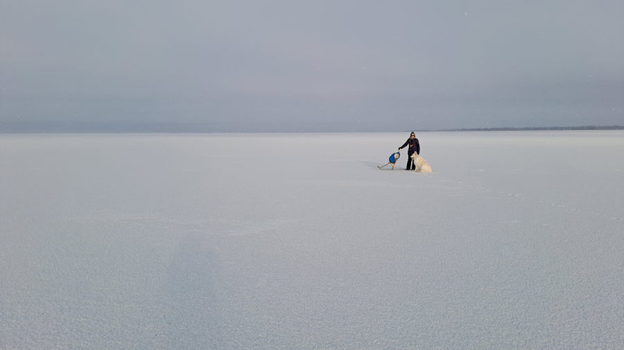 Pinkki, LKKL ja potkukelkka
          jäällä