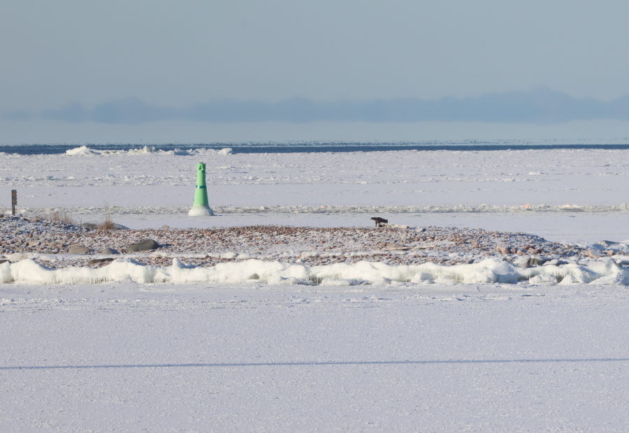Kettu Kupelin pohjoiskärjessä
