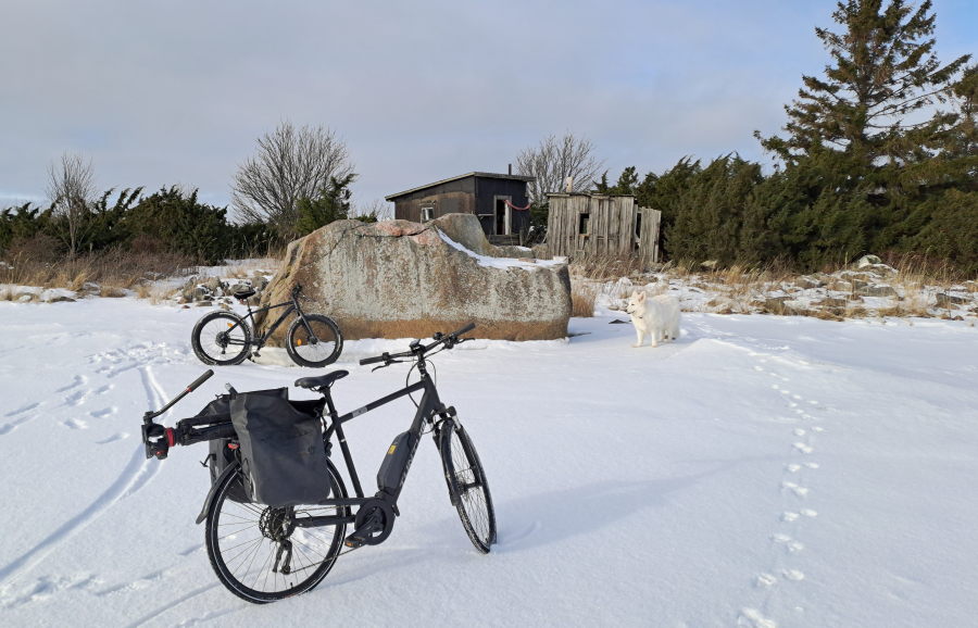 Pinkki ja polkupyörät
          Steenkumppoosissa