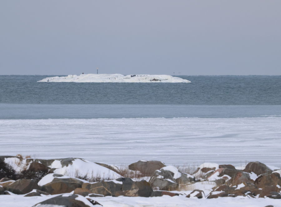 Sisempi Pohjankallio ja
          merikotka